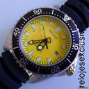 Seiko Kinetic Diver