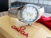 Omega Seamaster AQUA TERRA JEWELLERY