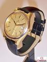 Omega 1970