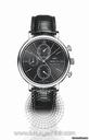 IWC Portofino Stainless Steel Mens Watch 3910-02