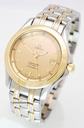 Omega Seamaster Stahl/Gold