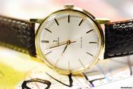 Omega Geneve Seamaster