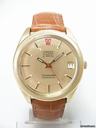 Omega Seamaster F 300 Hz yellow gold plated/or jaune plaque cadran gold dial