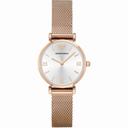 Armani Retro Silver Dial Ladies Watch AR1956