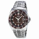 Citizen Signature Eco-Drive Brown Dial Stainless Steel Men's Watch BL1259-51X