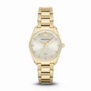 Emporio Armani Classic Champagne Sunray Dial Gold-tone Stainless Steel Ladies Watch AR6064