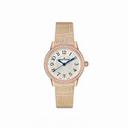 Jaeger LeCoultre Master Grande Tradition Automatic Titanium Men's Watch Q501T450