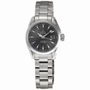 Omega Aqua Terra Grey Dial Ladies Watch 231.10.30.20.06.001