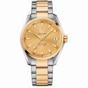 Omega Aqua Terra Master Co-Axial Champagne Dial Men's Watch 231.20.39.21.08.001