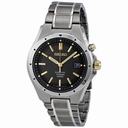 Seiko Kinetic Grey Dial Titanium Men's Watch SKA495