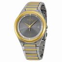Seiko Solar Grey Dial Two-Tone Stainless Steel Men's Watch SNE242