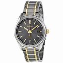 Seiko Two-tone Titanium Solar Quartz Gray Dial Men's Watch SNE143