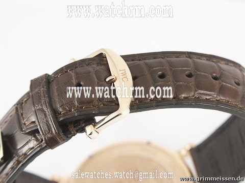 replica IWC Portofino WATCHES 1 