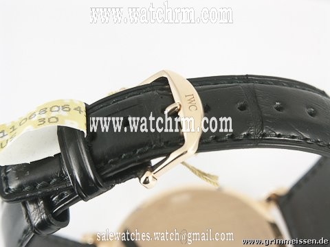 replica IWC Portofino WATCHES 1 