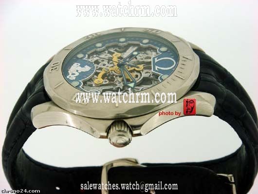 replica Omega Seamaster Skeleton WATCHES 1 