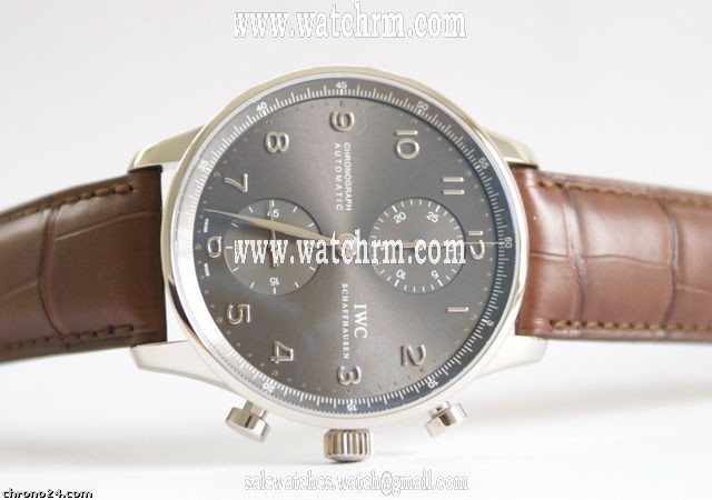 replica IWC Portugieser Portugieser WATCHES 1 