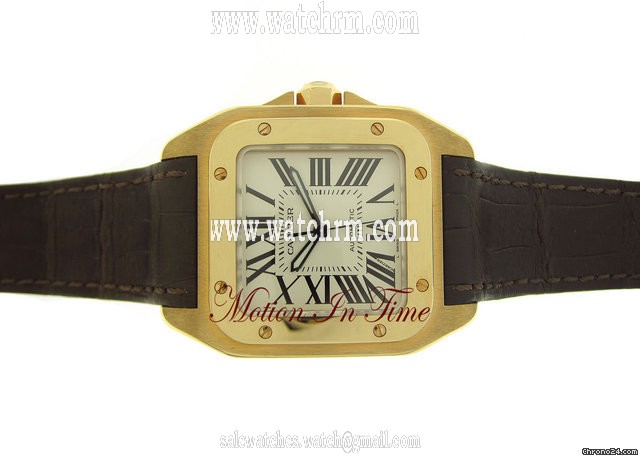 replica Cartier SANTOS 100 MEDIUM ROSE GOLD AUTOMATIC ~  2011 WATCHES 1 