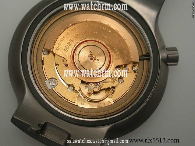replica IWC Ocean 2000 Amag WATCHES 1 