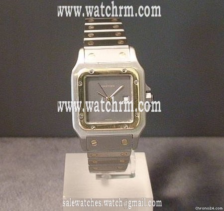 replica Cartier SANTOS RUTHENIUM WATCHES 1 