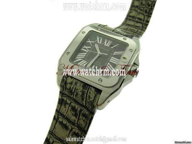 replica Cartier RARE 2011~CARTIER SANTOS 100 XL "KINGS ROAD" SPECIAL EDITION WATCHES 1 