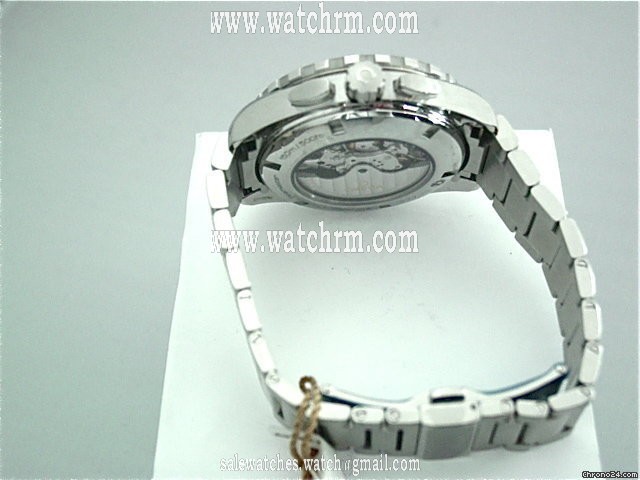 replica Omega Seamaster Aqua Terra Chronograph GMT WATCHES 1 