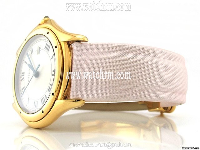 replica Cartier COUGAR WATCHES 1 