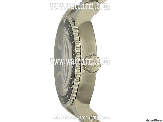 replica Oris Diver Date 44mm WATCHES 1 