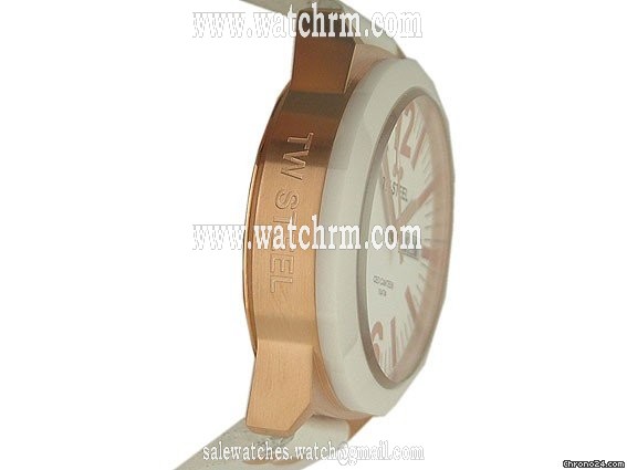 replica TW Steel Canteen Kollektion 45mm WATCHES 1