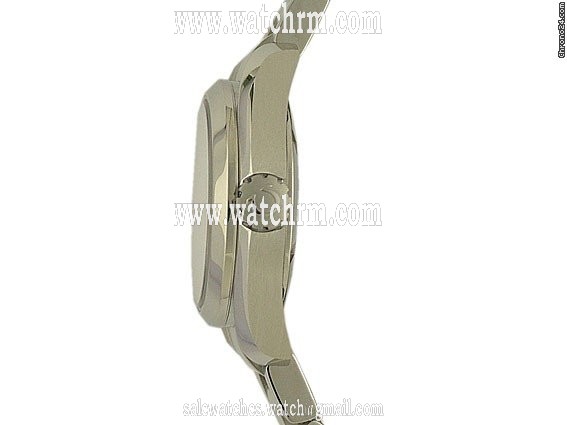replica Omega Seamaster Aqua Terra 30mm WATCHES 1 