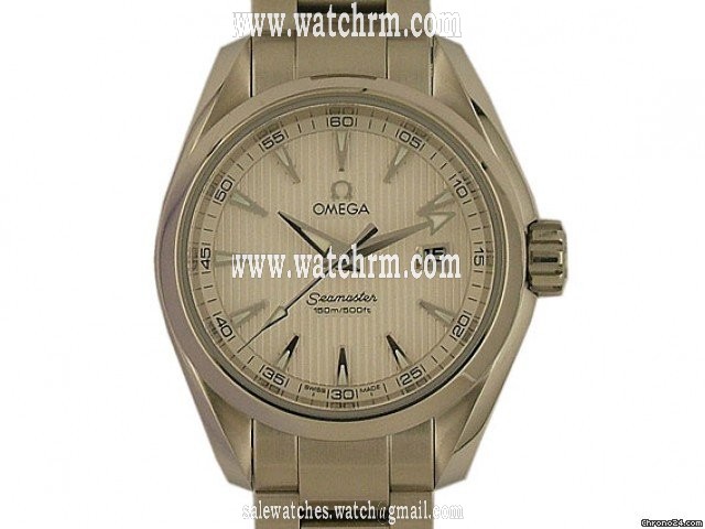 Omega Seamaster Aqua Terra 30mm