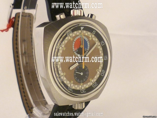 replica Omega Seamaster Bullhead WATCHES 1 