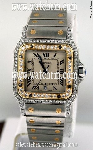 replica Cartier Santos Men's Pre-owned W20011C4 WATCHES 1 