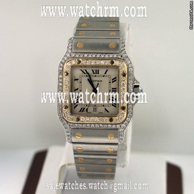 Cartier Santos Men's Pre-owned W20011C4