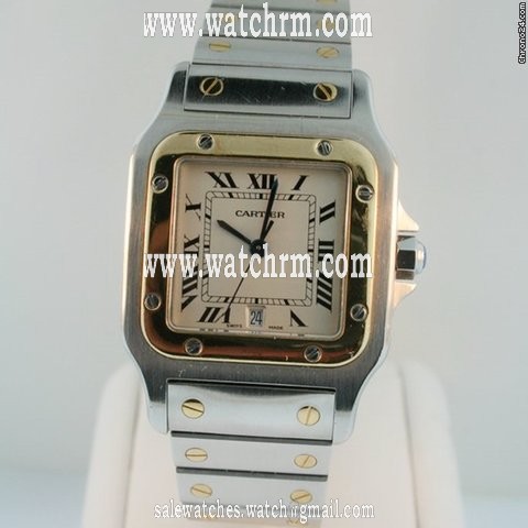 Cartier Santos Men's Pre-owned W20011C4