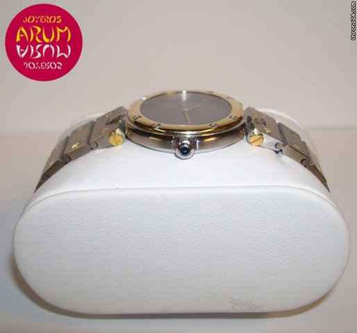 replica Cartier Santos Mixto WATCHES 1 