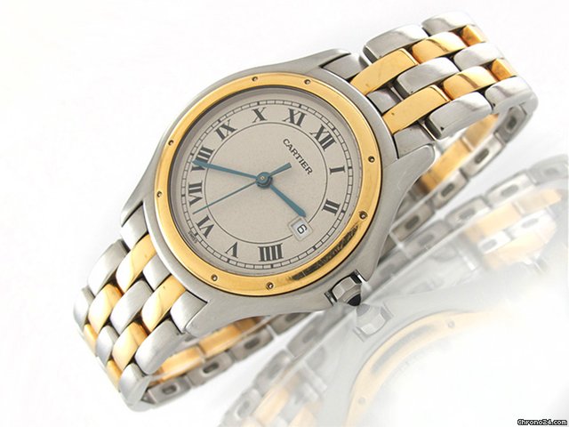 Cartier "PANTHERE COUGAR" HERREN 2 Streifen Gold /Stahl