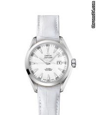Omega Seamaster Aqua Terra / D.S.R.NEW