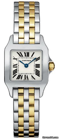 Cartier Santos Demoiselle - Small