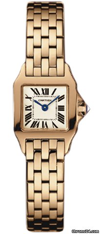 Cartier Santos Demoiselle - Small