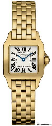 Cartier Santos Demoiselle - Small