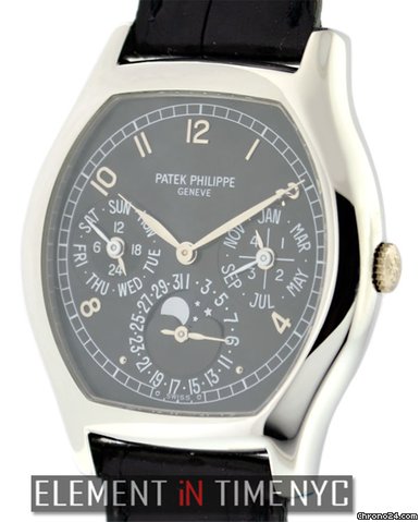 Patek Philippe Perpetual Calendar Platinum 5040P