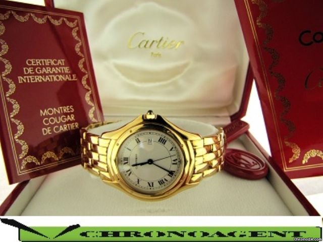 Cartier Cougar Oro Giallo Ref.w25013b9