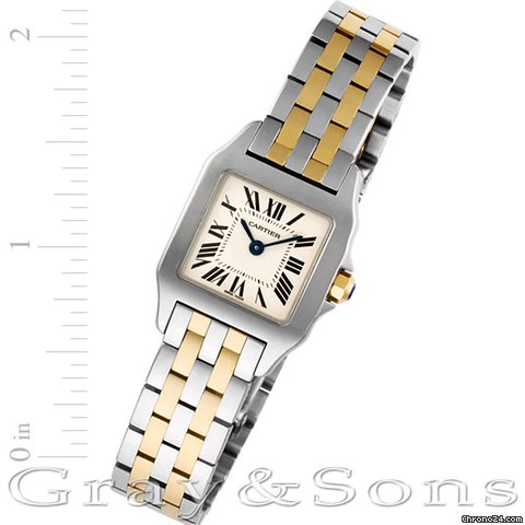 Cartier Demoiselle W25066Z6
