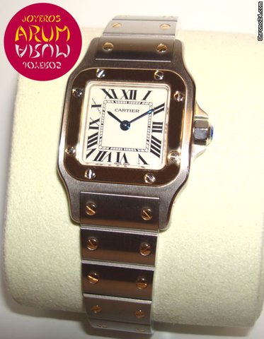 Cartier Santos Galbee