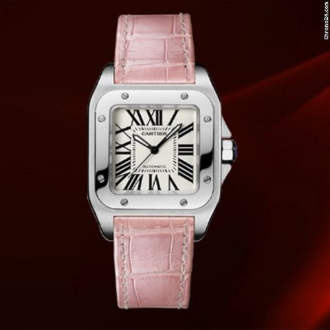 Cartier Santos 100 Medium Size Ref.w20126x8