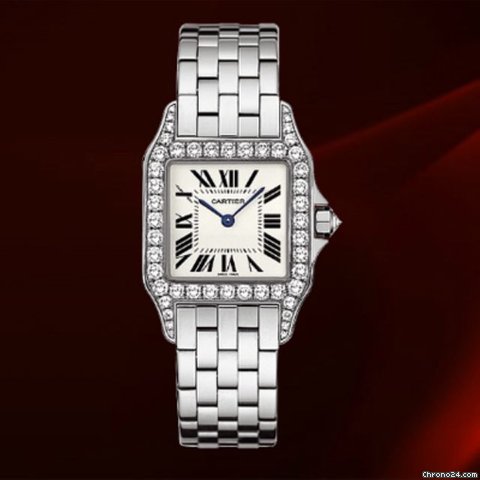 Cartier Santos Demoiselle Oro Bianco E Diamanti Ref.wf9004y8