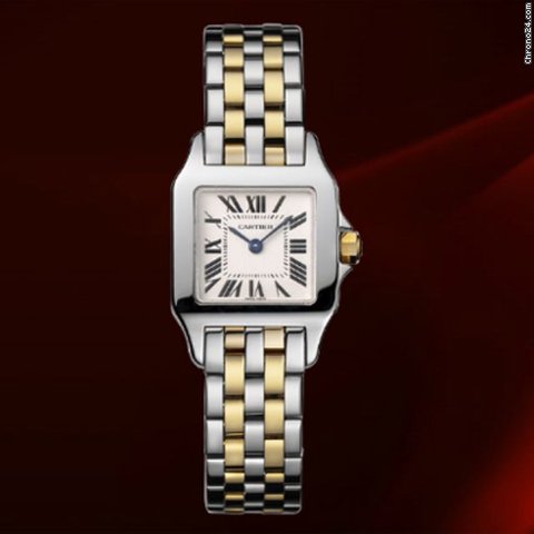 Cartier Santos Demoiselle Acciaio E Oro Giallo Ref.w25066z6
