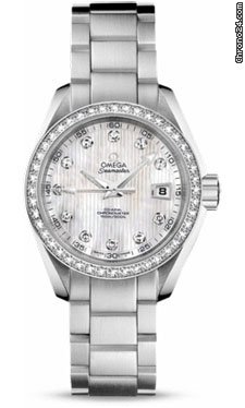 Omega Seamaster Aqua Terra Automatic Stainless Steel