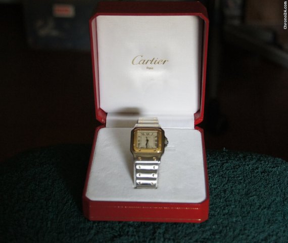 Cartier Santos - Hombre