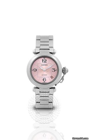 Cartier Pasha Stainless Steel Unisex Watch W31075M7